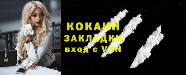 стаф Абаза