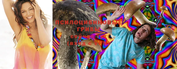 стаф Абаза