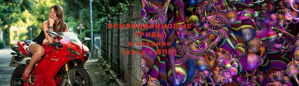 спиды Абдулино