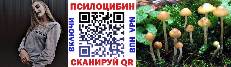 где купить наркоту  Разумное  kraken сайт  Псилоцибиновые грибы Psilocybe 